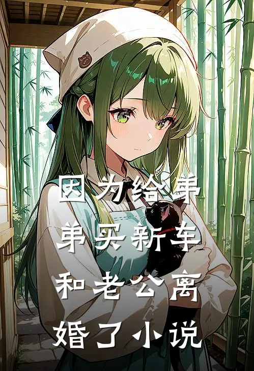 因为给弟弟买新车，和老公离婚了小说