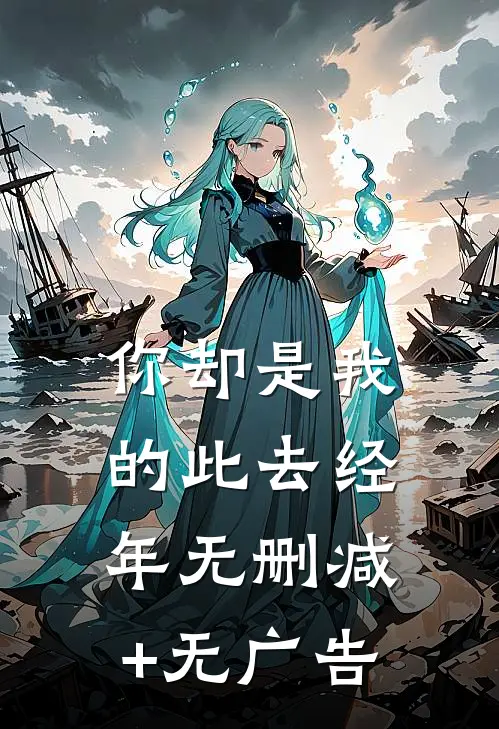 你却是我的此去经年无删减+无广告