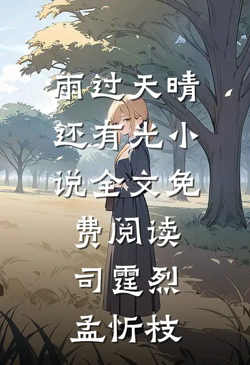 雨过天晴还有光小说全文免费阅读司霆烈孟忻枝