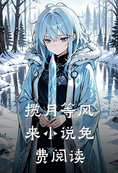 揽月等风来小说免费阅读