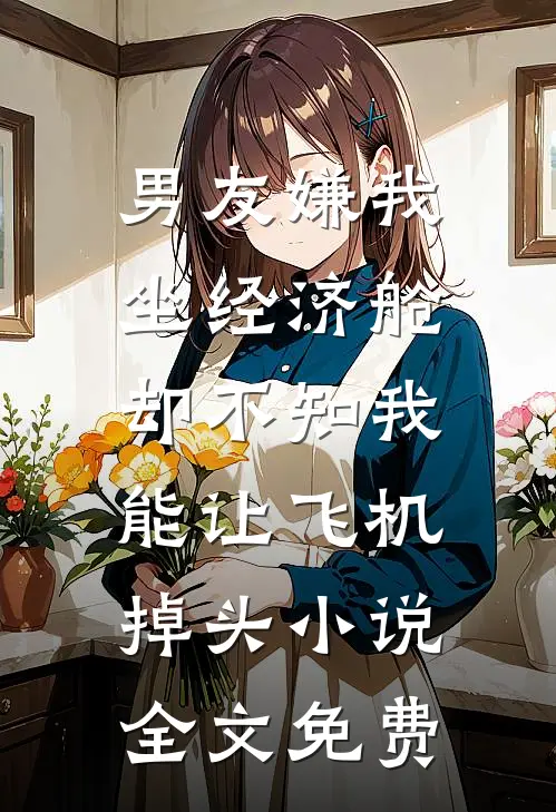男友嫌我坐经济舱，却不知我能让飞机掉头小说全文免费
