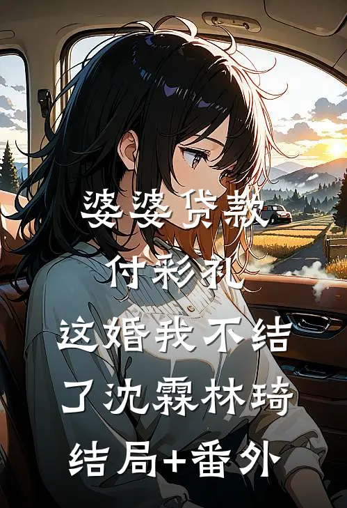 婆婆贷款付彩礼，这婚我不结了沈霖林琦结局+番外