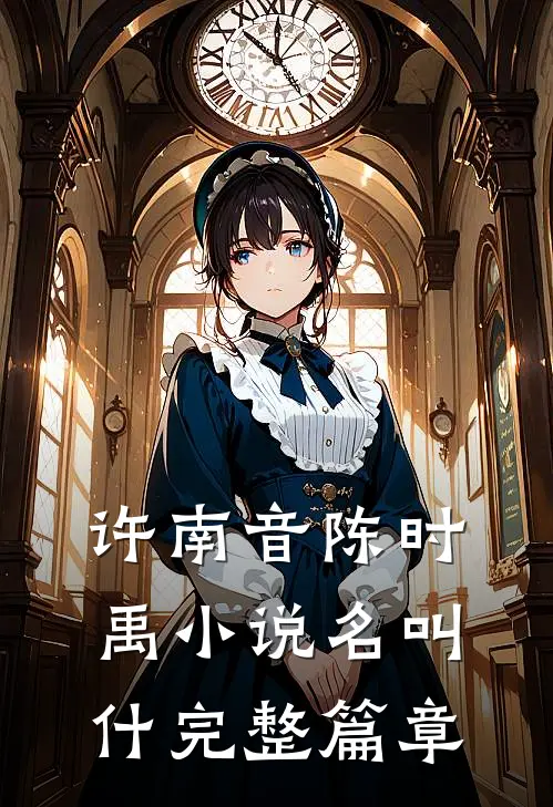 许南音陈时禹小说名叫什完整篇章
