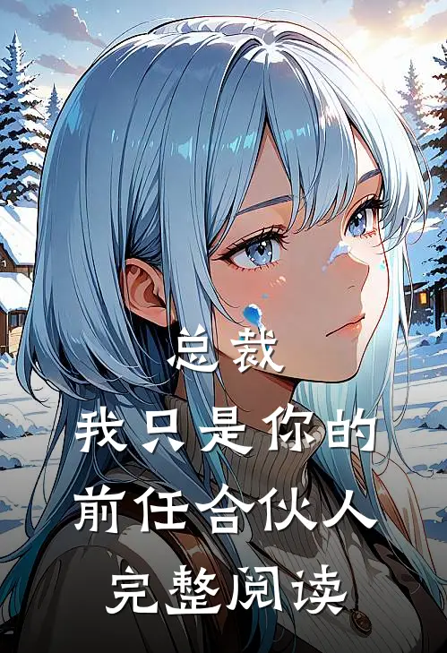 总裁，我只是你的前任合伙人完整阅读