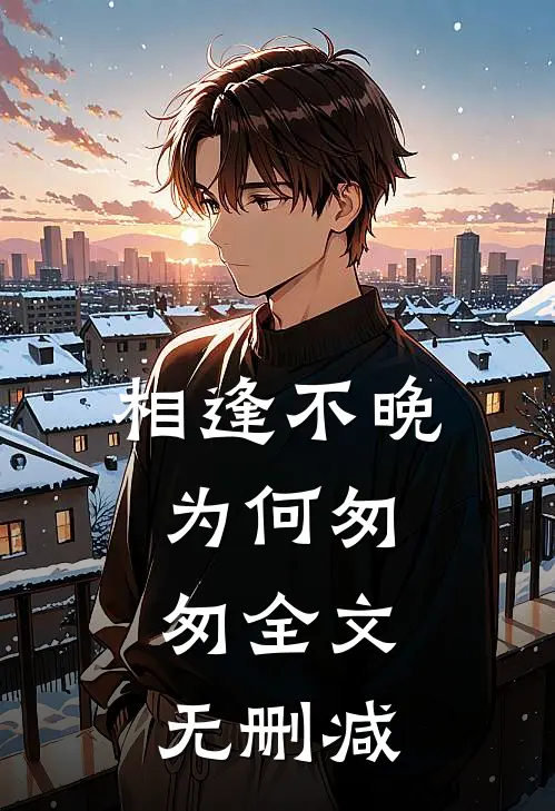 相逢不晚为何匆匆全文无删减