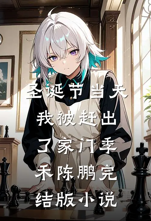 圣诞节当天，我被赶出了家门季禾陈鹏完结版小说