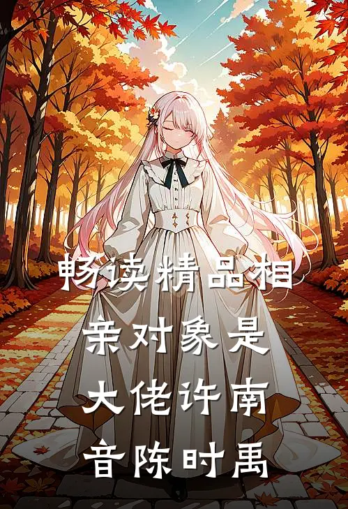 畅读精品相亲对象是大佬许南音陈时禹