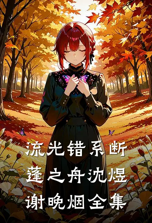 流光错系断蓬之舟沈煜谢晚烟全集