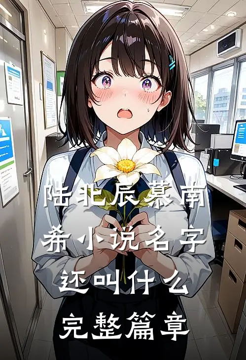 陆北辰慕南希小说名字还叫什么完整篇章