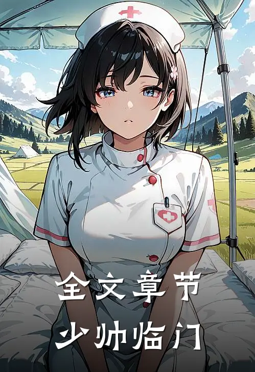 全文章节少帅临门