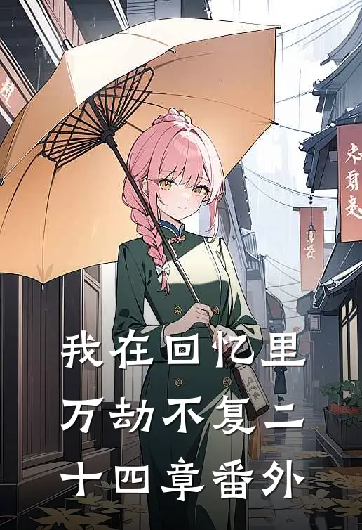 我在回忆里万劫不复二十四章番外
