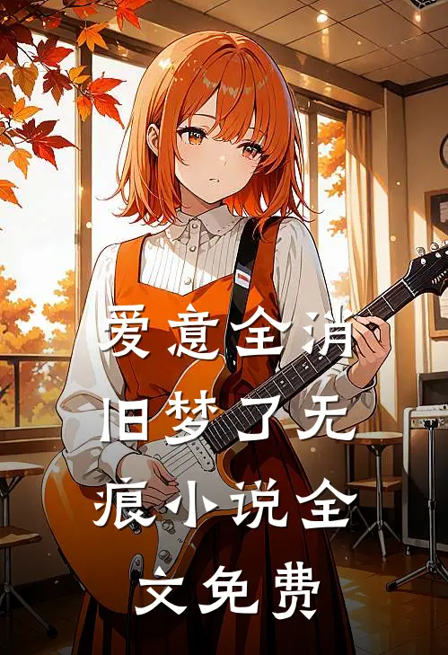 爱意全消，旧梦了无痕小说全文免费