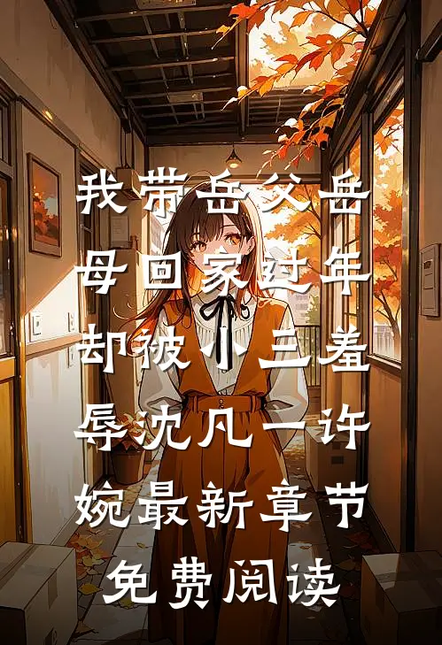 我带岳父岳母回家过年，却被小三羞辱沈凡一许婉最新章节免费阅读