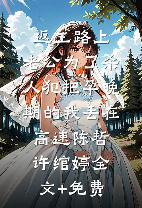 返工路上，老公为了杀人犯把孕晚期的我丢在高速陈哲许绾婷全文+免费