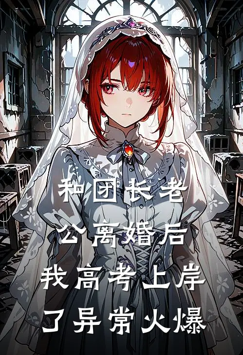 和团长老公离婚后，我高考上岸了异常火爆