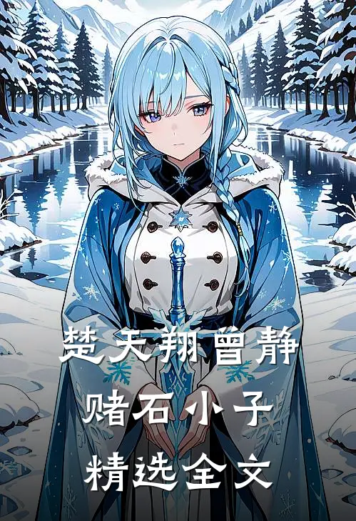 楚天翔曾静赌石小子精选全文