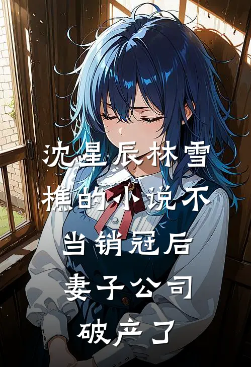 沈星辰林雪樵的小说不当销冠后，妻子公司破产了