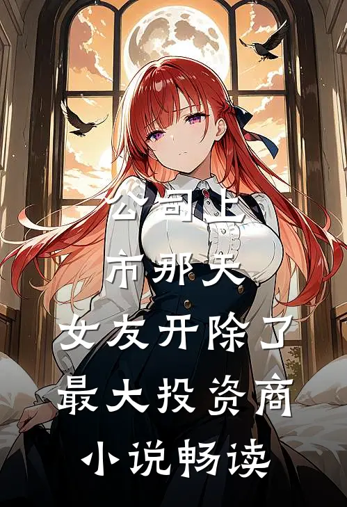 公司上市那天，女友开除了最大投资商小说畅读