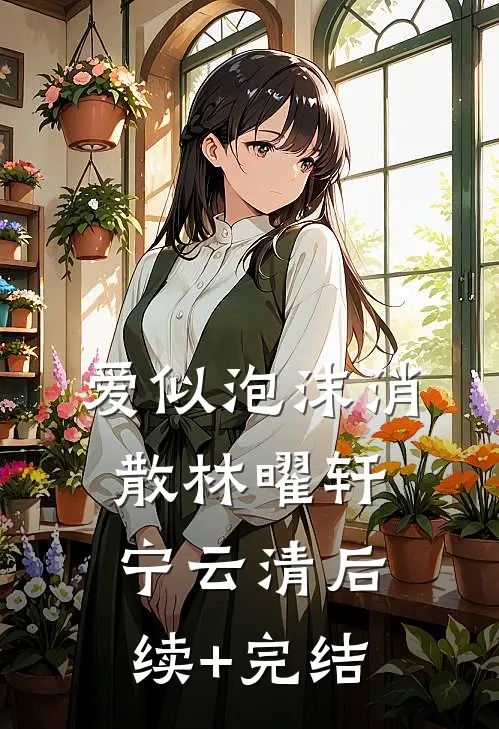 爱似泡沫消散林曜轩宁云清后续+完结