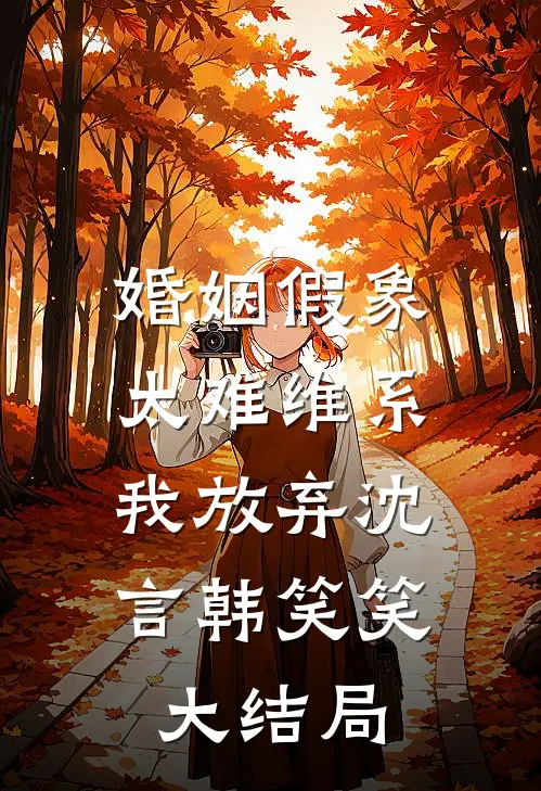 婚姻假象太难维系，我放弃沈言韩笑笑大结局