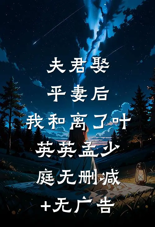 夫君娶平妻后，我和离了叶英英孟少庭无删减+无广告