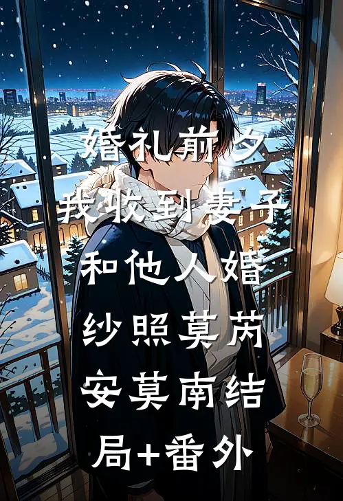 婚礼前夕，我收到妻子和他人婚纱照莫芮安莫南结局+番外