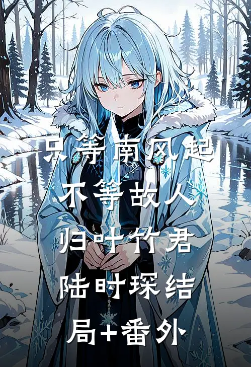 只等南风起，不等故人归叶竹君陆时琛结局+番外