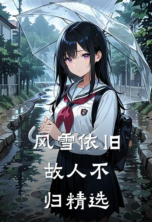 风雪依旧，故人不归精选