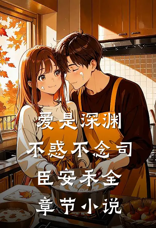 爱是深渊，不惑不念司臣安禾全章节小说