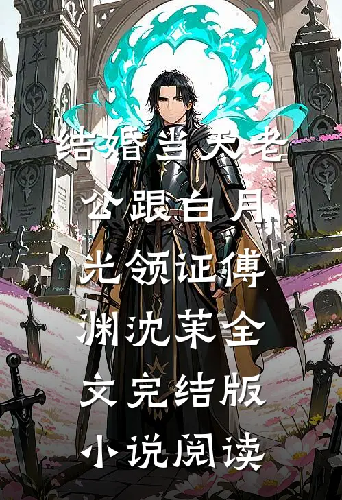 结婚当天老公跟白月光领证傅渊沈茉全文完结版小说阅读