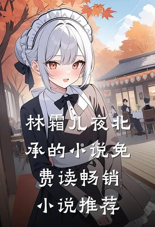 林霜儿夜北承的小说免费读畅销小说推荐