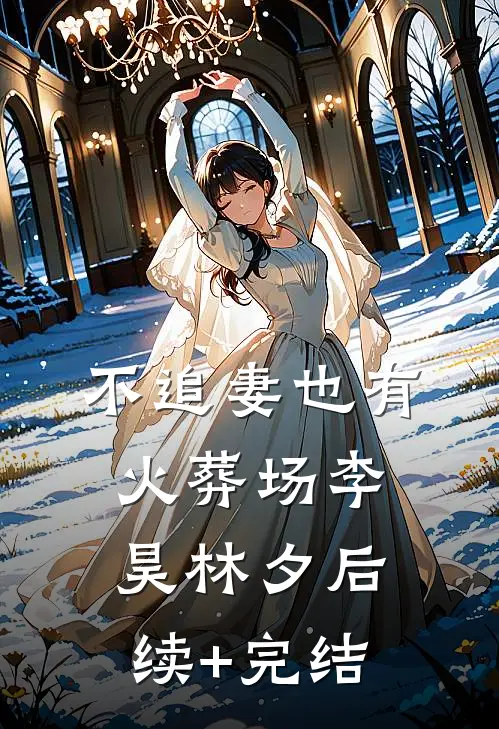 不追妻也有火葬场李昊林夕后续+完结