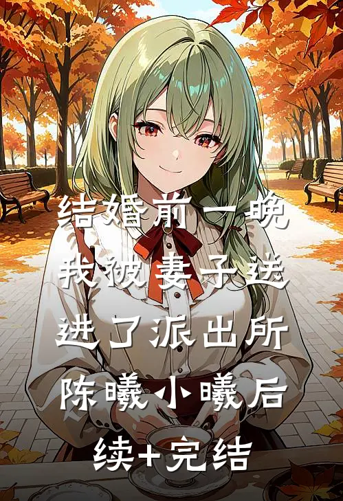 结婚前一晚我被妻子送进了派出所陈曦小曦后续+完结