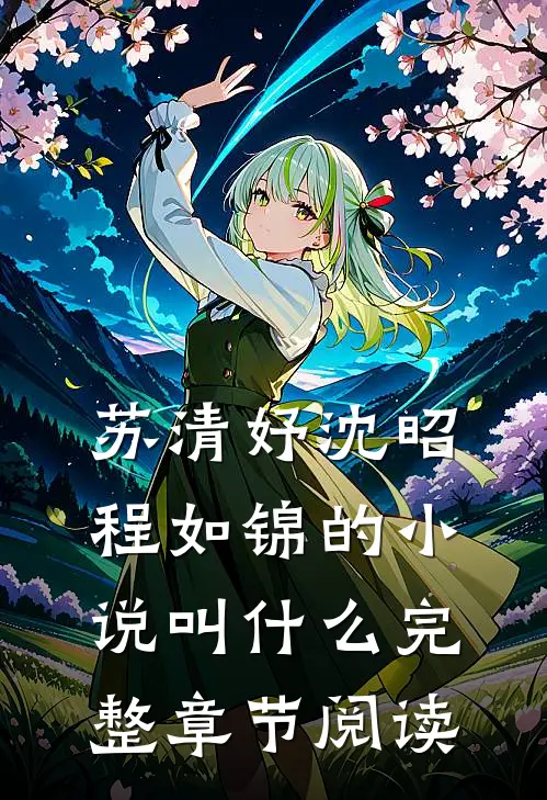 苏清妤沈昭程如锦的小说叫什么完整章节阅读
