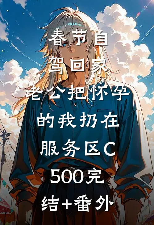 春节自驾回家，老公把怀孕的我扔在服务区C500完结+番外