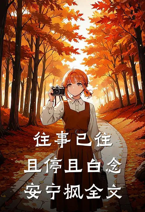 往事已往，且停且白念安宁枫全文