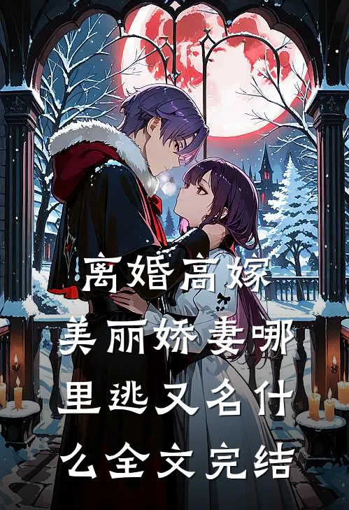 离婚高嫁:美丽娇妻哪里逃又名什么全文完结