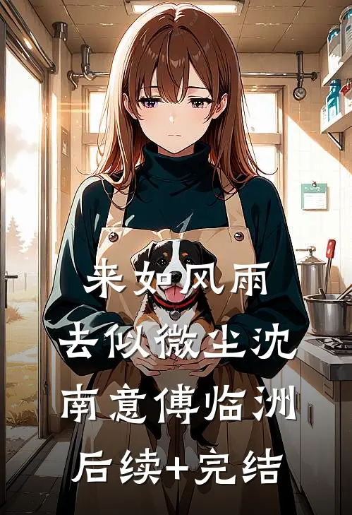 来如风雨，去似微尘沈南意傅临洲后续+完结