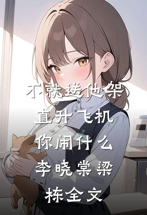 不就送他架直升飞机，你闹什么李晓棠梁栋全文