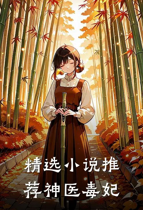 精选小说推荐神医毒妃