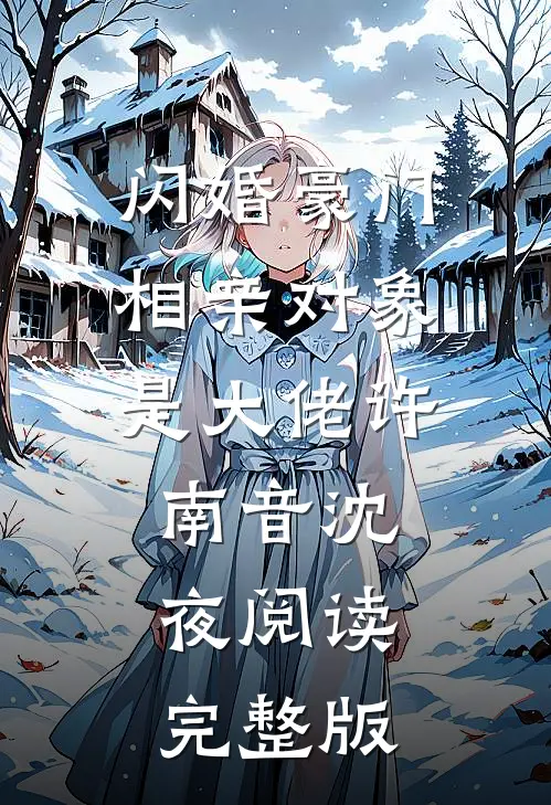 闪婚豪门：相亲对象是大佬许南音沈夜阅读完整版