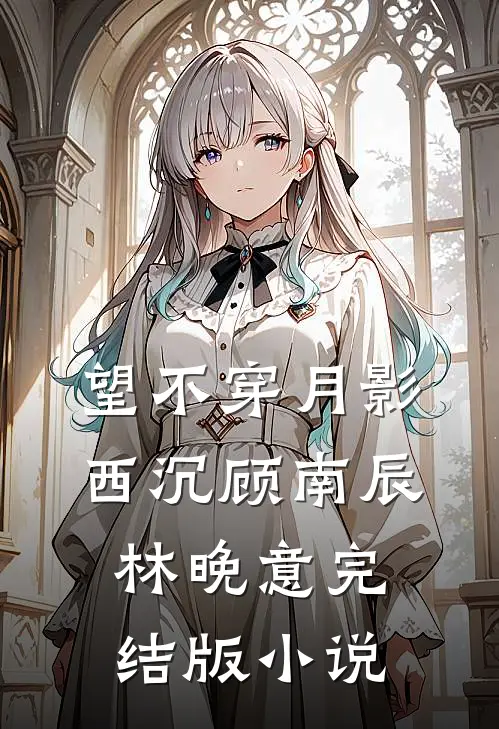 望不穿月影西沉顾南辰林晚意完结版小说