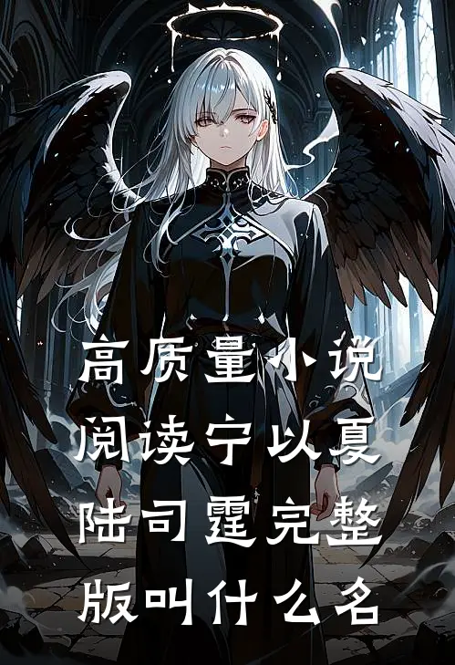 高质量小说阅读宁以夏陆司霆完整版叫什么名