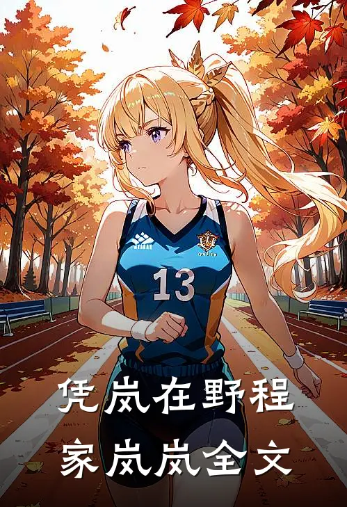 凭岚在野程家岚岚全文