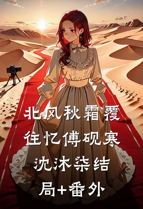北风秋霜覆往忆傅砚寒沈沐柒结局+番外