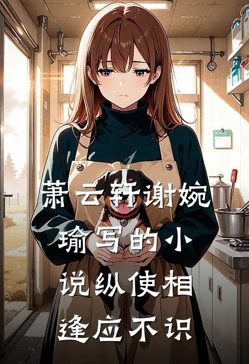 萧云轩谢婉瑜写的小说纵使相逢应不识