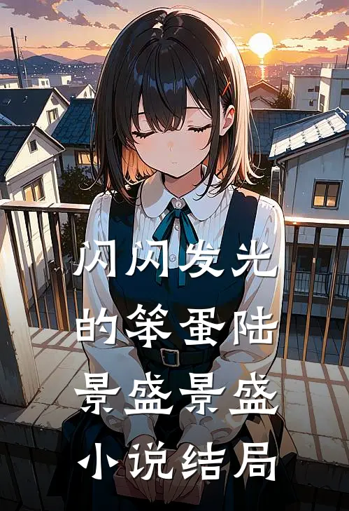 闪闪发光的笨蛋陆景盛景盛小说结局
