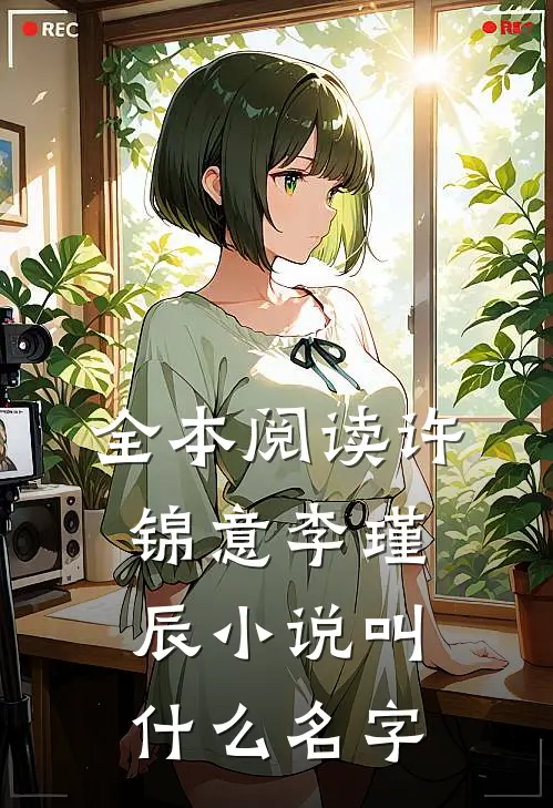 全本阅读许锦意李瑾辰小说叫什么名字