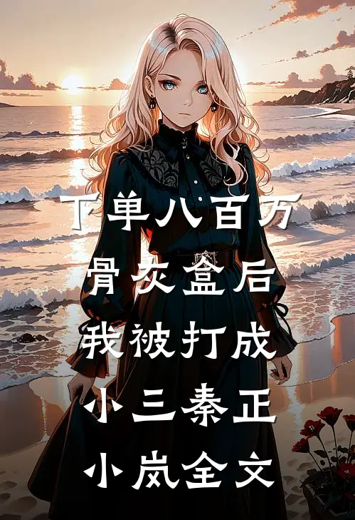 下单八百万骨灰盒后，我被打成小三秦正小岚全文