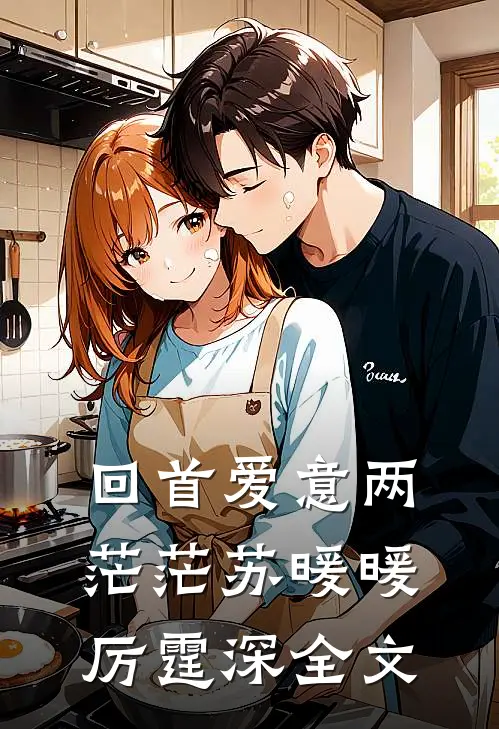 回首爱意两茫茫苏暖暖厉霆深全文